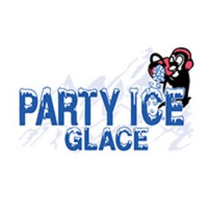 Party Ice Bag Of Ice 9.09kg