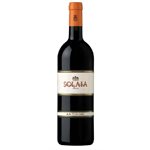 Antinori Estates Solaia Toscana IGT 2007 1500ml