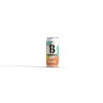 13 Barrels Brewing Dog Daze IPA 473ml