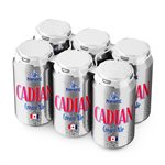 Pump House Cadian Cream Ale 6 C